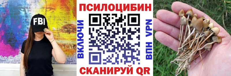 Псилоцибиновые грибы ЛСД  где купить наркоту  Торопец 